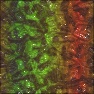 Skin of lizard (reptiles)