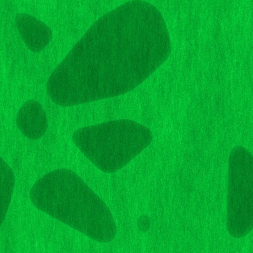 Variation 4