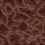fossil of sand