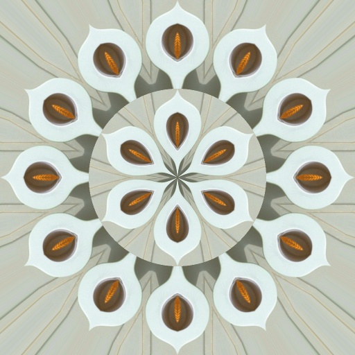 Variation 1