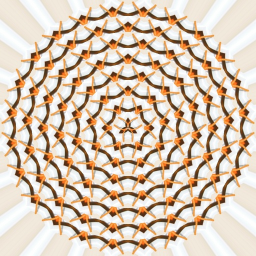 Variation 6