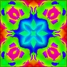 Hippy Trip