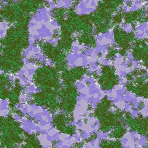 Variation 3