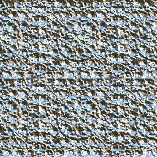 Variation 7