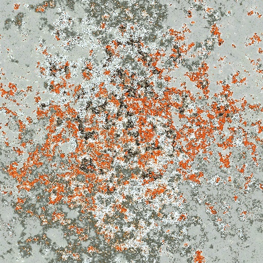 Variation 1