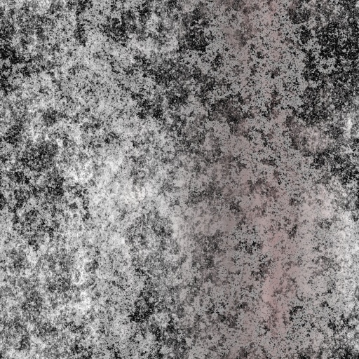 Diffuse Map