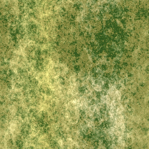 Variation 1
