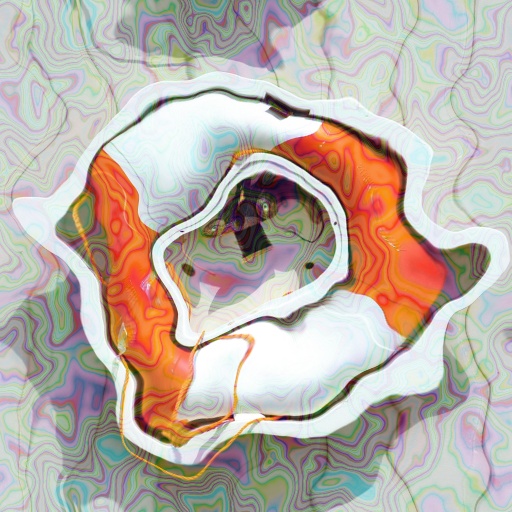 Variation 4