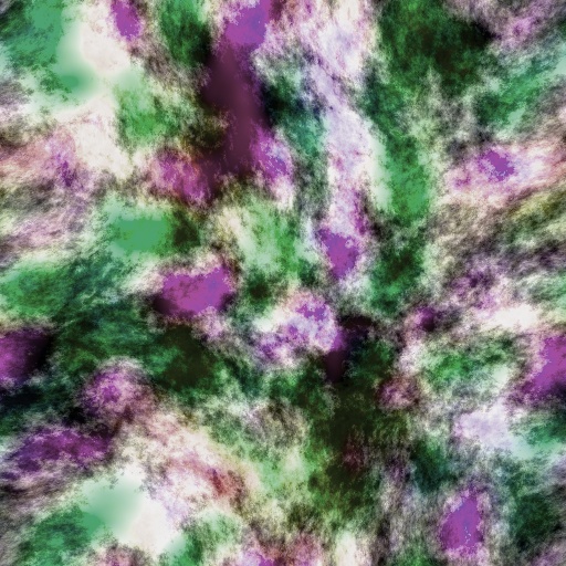 Variation 4