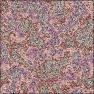 Polished Stone