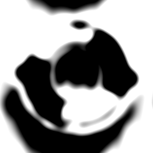 Variation 4