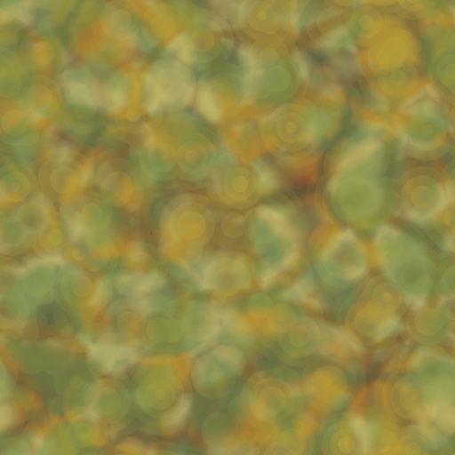 Variation 7