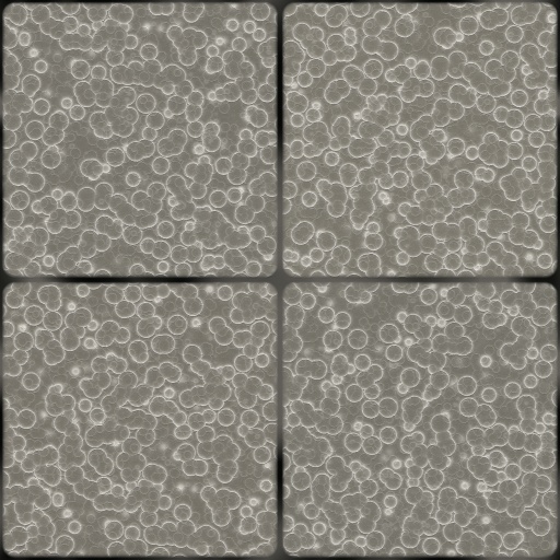 Variation 3