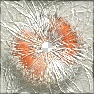 Crash!