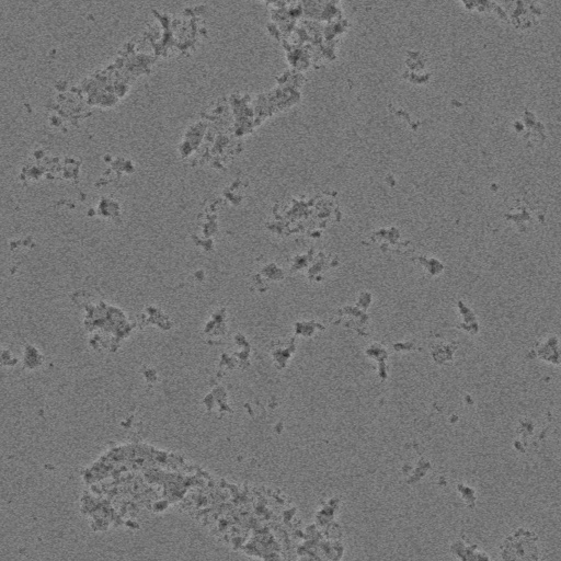 Pitted Concrete (Texture)