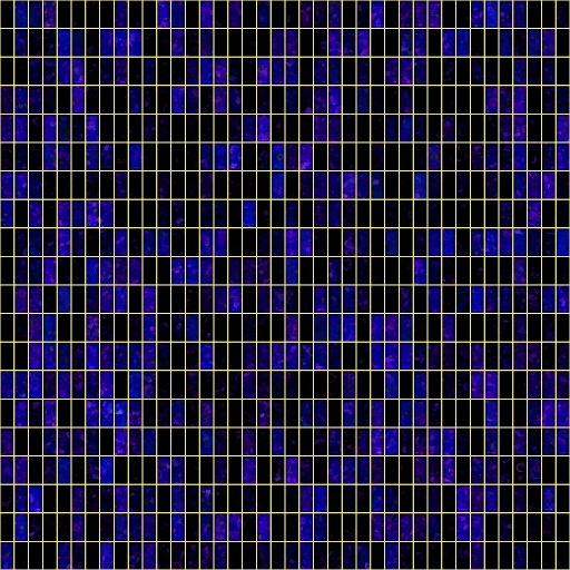 Variation 8