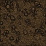 Dirt and Rock