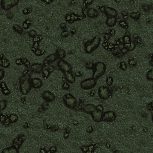 Variation 6