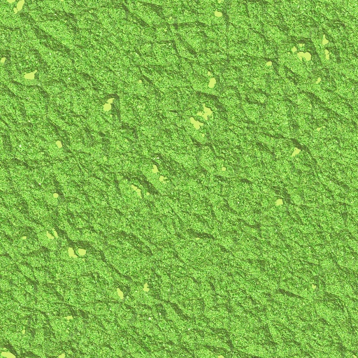 Variation 6