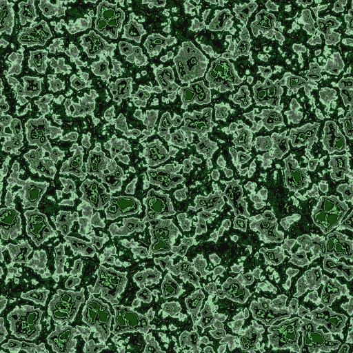 Variation 7