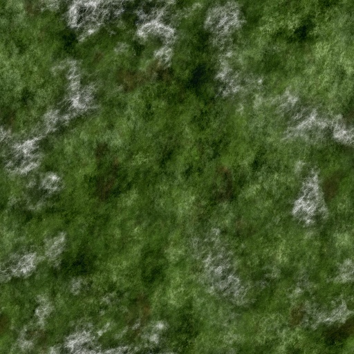 Variation 7
