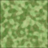 Cammo