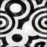 Zebra Spots