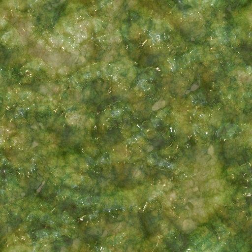 Variation 4