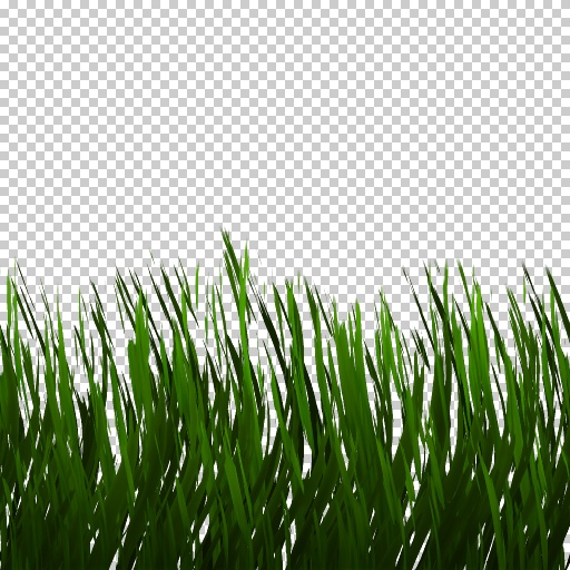 Grass (Texture)