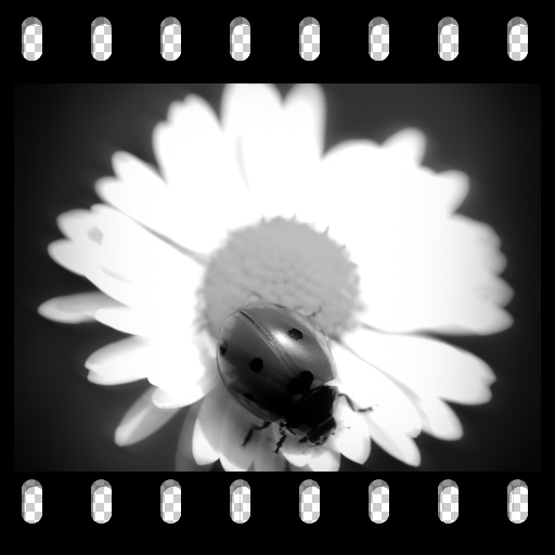 Variation 2