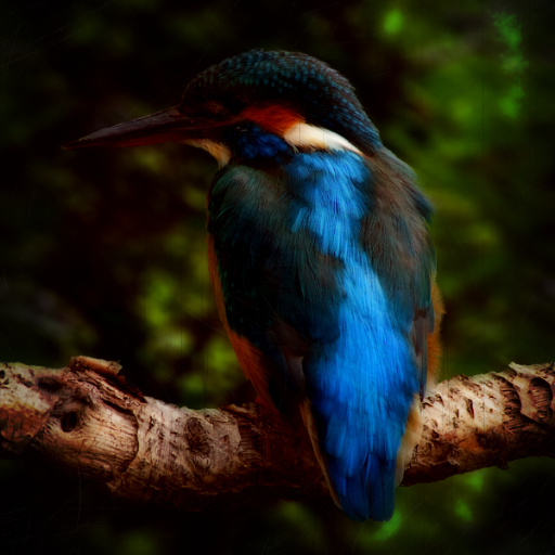 Variation 3