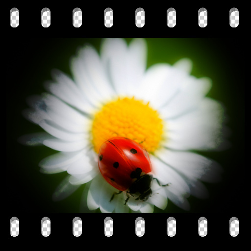 Variation 7