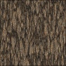 Pine Bark
