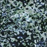 Mottled Citizen