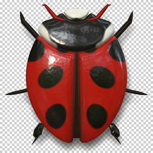 Variation 4