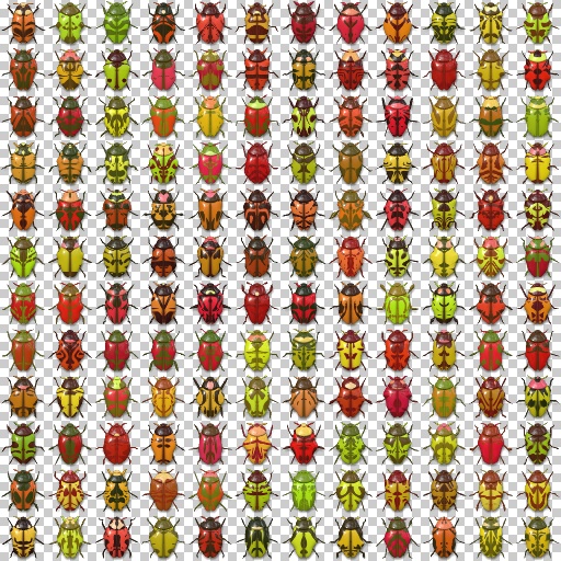Variation 6