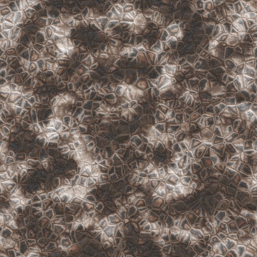 Variation 8