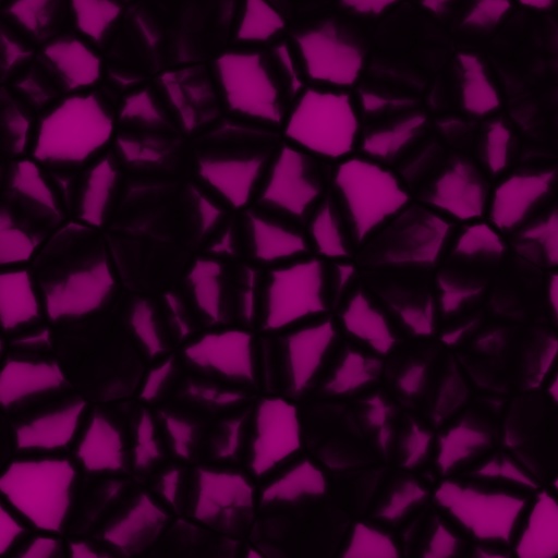 Diffuse Map