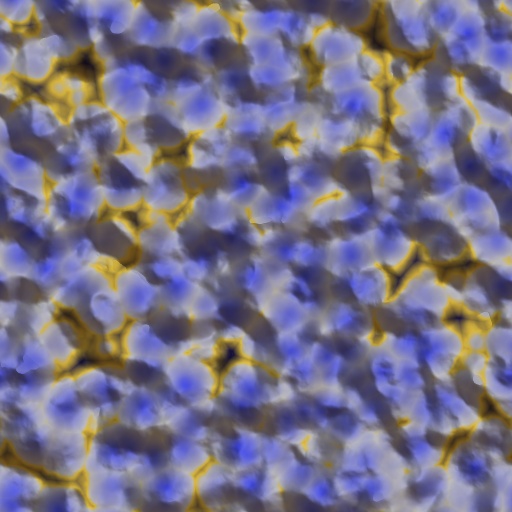 Variation 5