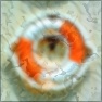 Abstractifier