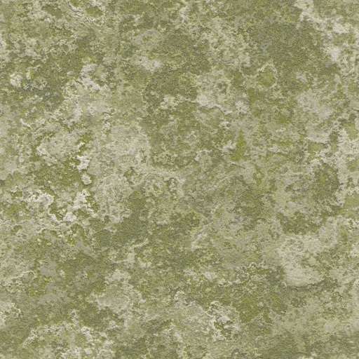 Variation 1
