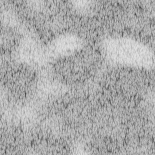 Bump Map