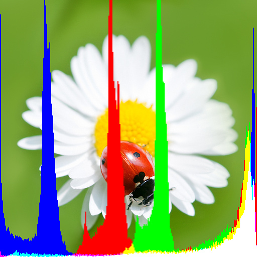 Variation 3