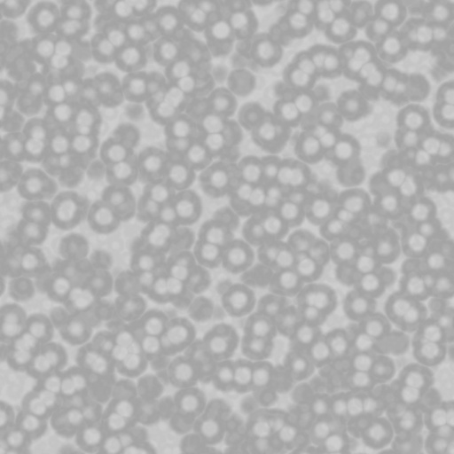 Bump Map