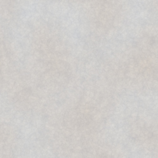 Diffuse Map