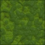 Green Alien Skin