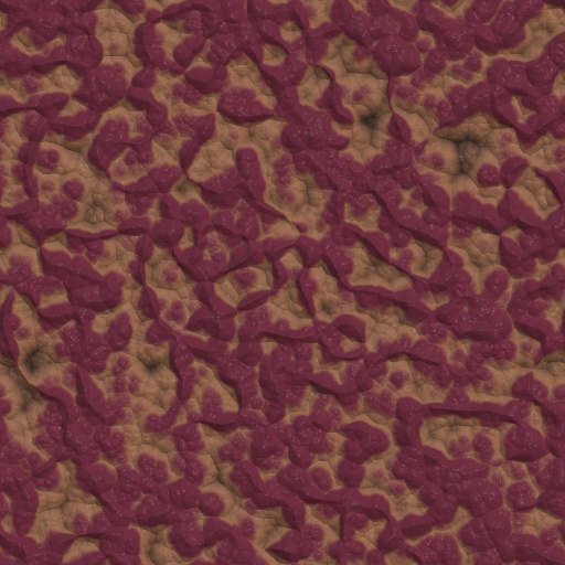 Variation 8