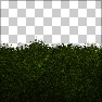 Hedge