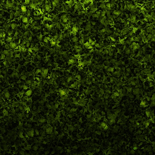 Variation 3