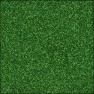 Dragon Skin